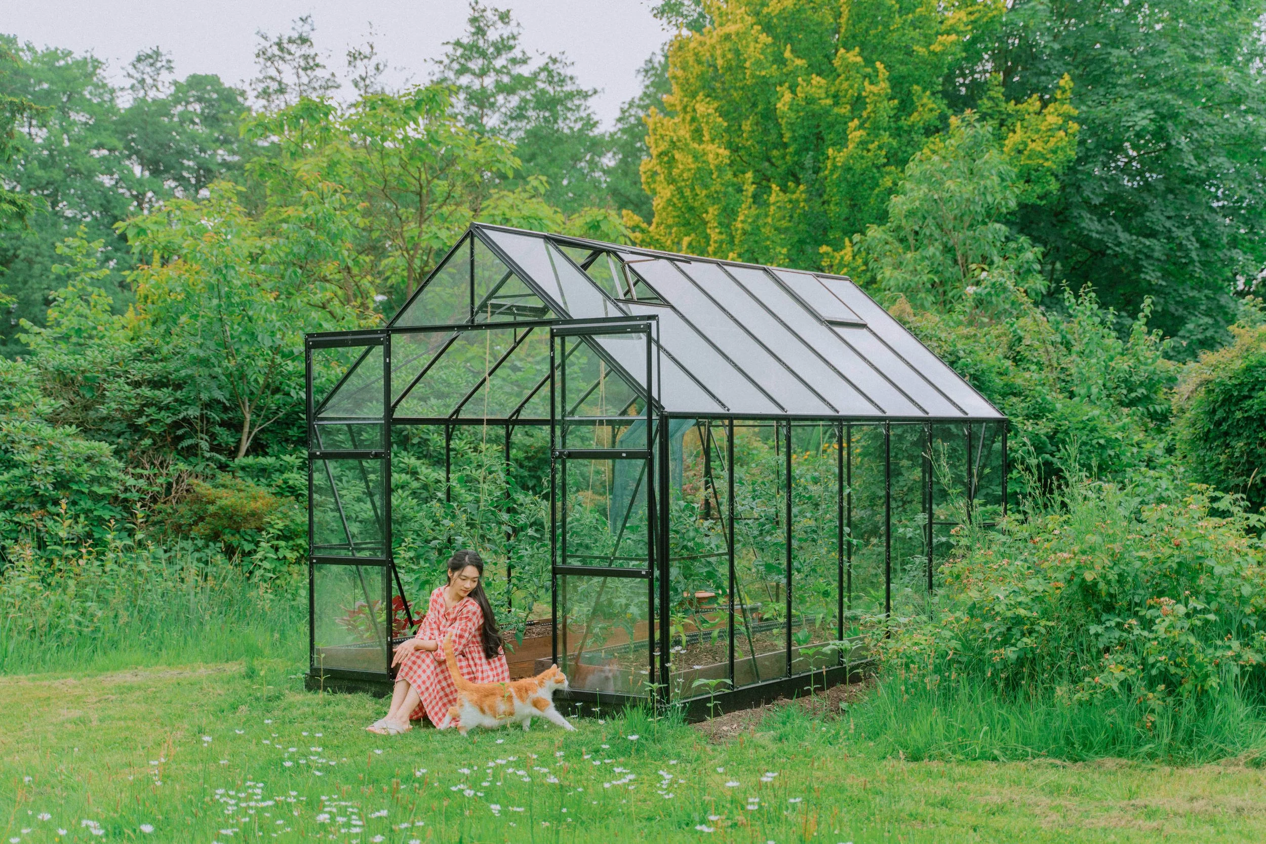 Building our greenhouse to grow vegetables — HER 86m2 - by Thuy Dao